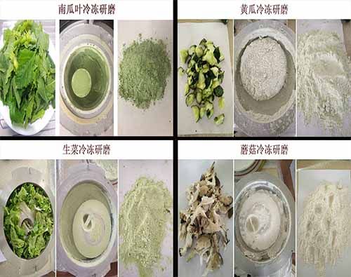 瑞绅葆液氮冷冻研磨机研磨植物解决计划-鲜叶及果实